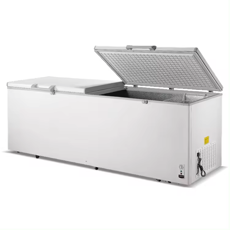 ΜΠΑΟΥΛΟ ΚΑΤΑΨΥΞΗ BD-1000