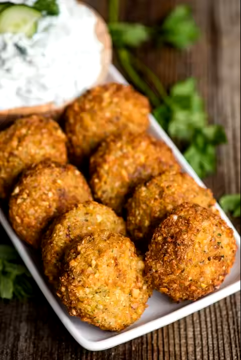 AUTOMATIC FALAFEL MAKER MACHINE SLN-FLF