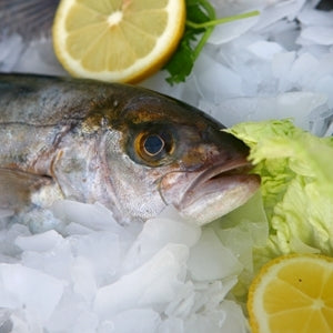 ΜΗΧΑΝΗ ΠΑΓΟΤΡΙΜΜΑΤΟΣ/ΠΑΓΟΛΕΠΙ FIM250 ICE-TEK