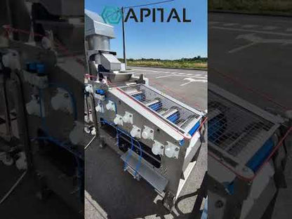 AUTOMATIC FRUIT SCREEN BELT PRESS MACHINE JUICEPRESS 300 APITAL