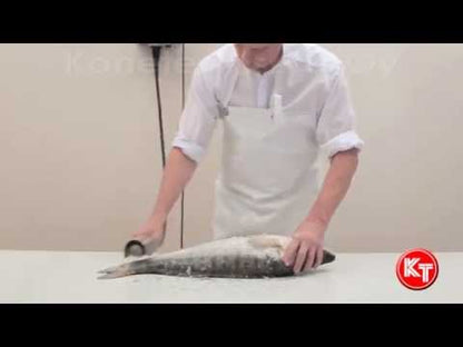 ΗΛΕΚΤΡΙΚΟΣ ΑΠΟΛΕΠΙΣΤΗΣ ΨΑΡΙΩΝ KT-S