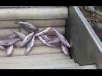 ΑΥΤΟΜΑΤΟ ΜΗΧΑΝΗΜΑ ΑΠΟΛΕΠΙΣΗΣ ΨΑΡΙΩΝ MQT800